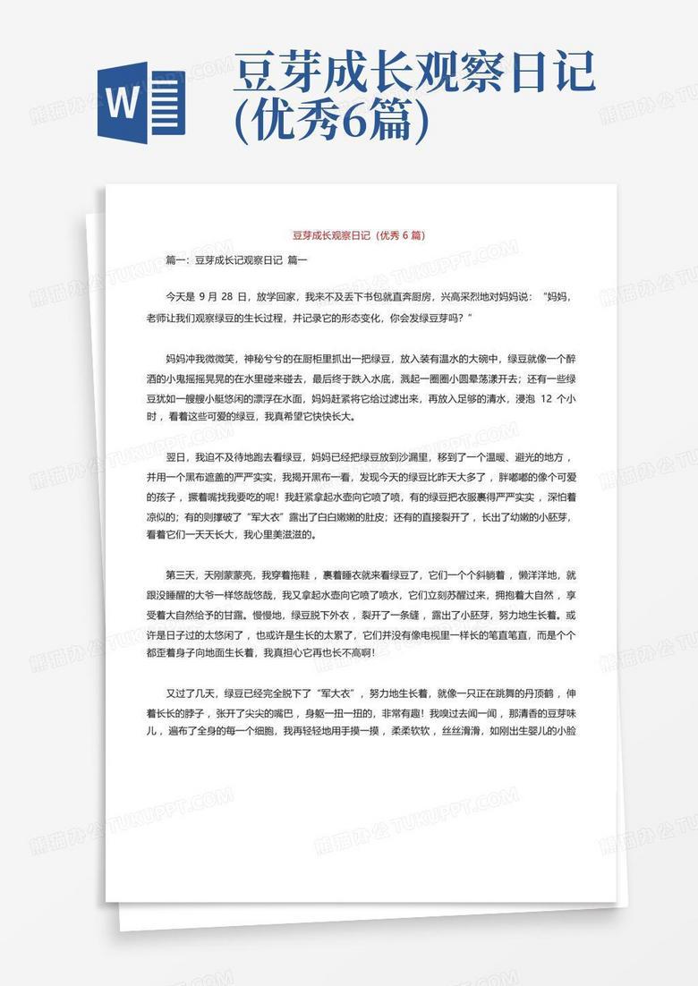 豆芽生长记—四天里的奇妙变化