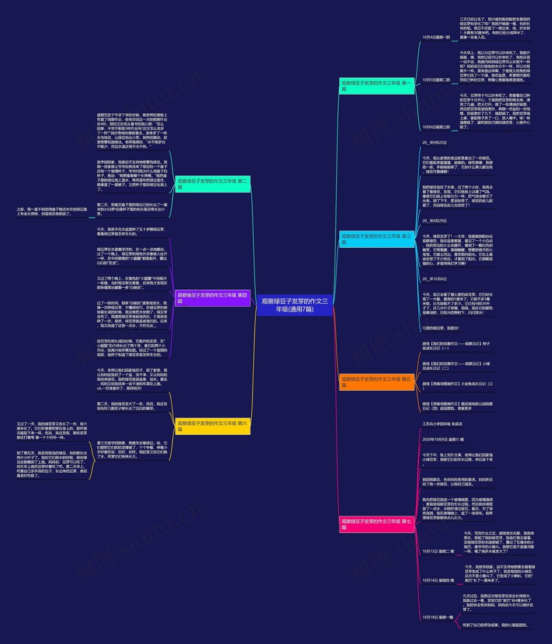 芽芽日记·黄豆芽的成长日记