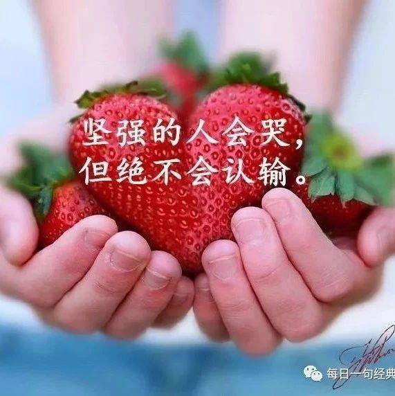 轻触指尖,情话入心:—朋友圈一句话情话精选 轻触指尖,情话入心:—朋友圈一句话情话精选