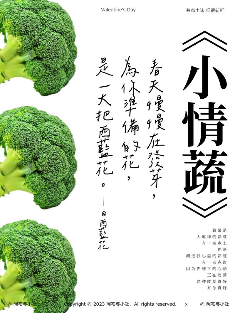 七十字的温柔誓言？