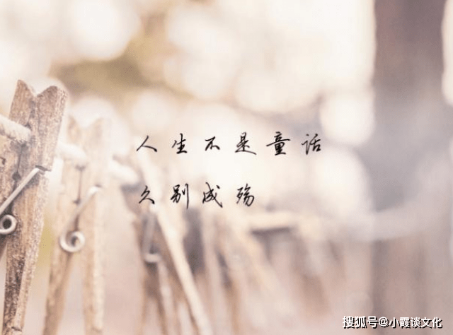 伤感情话也能温暖人心的魔法？