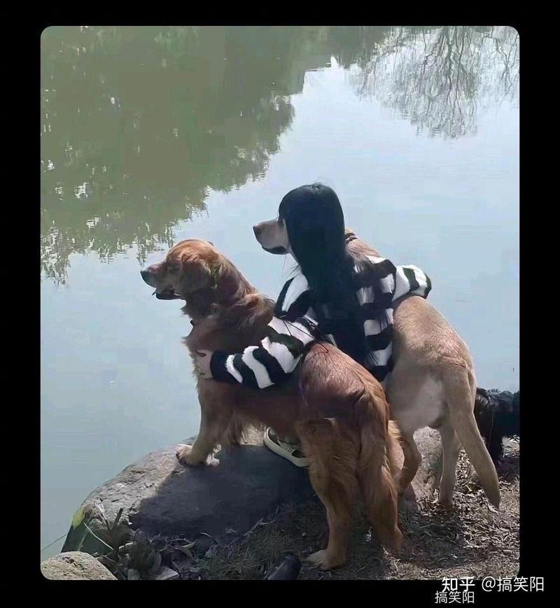 主播情话，人狗共舞，爱与迅雷同行…