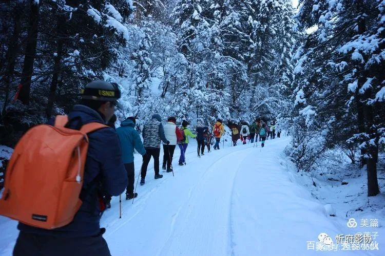 今晨的雪景，美得让人心醉！