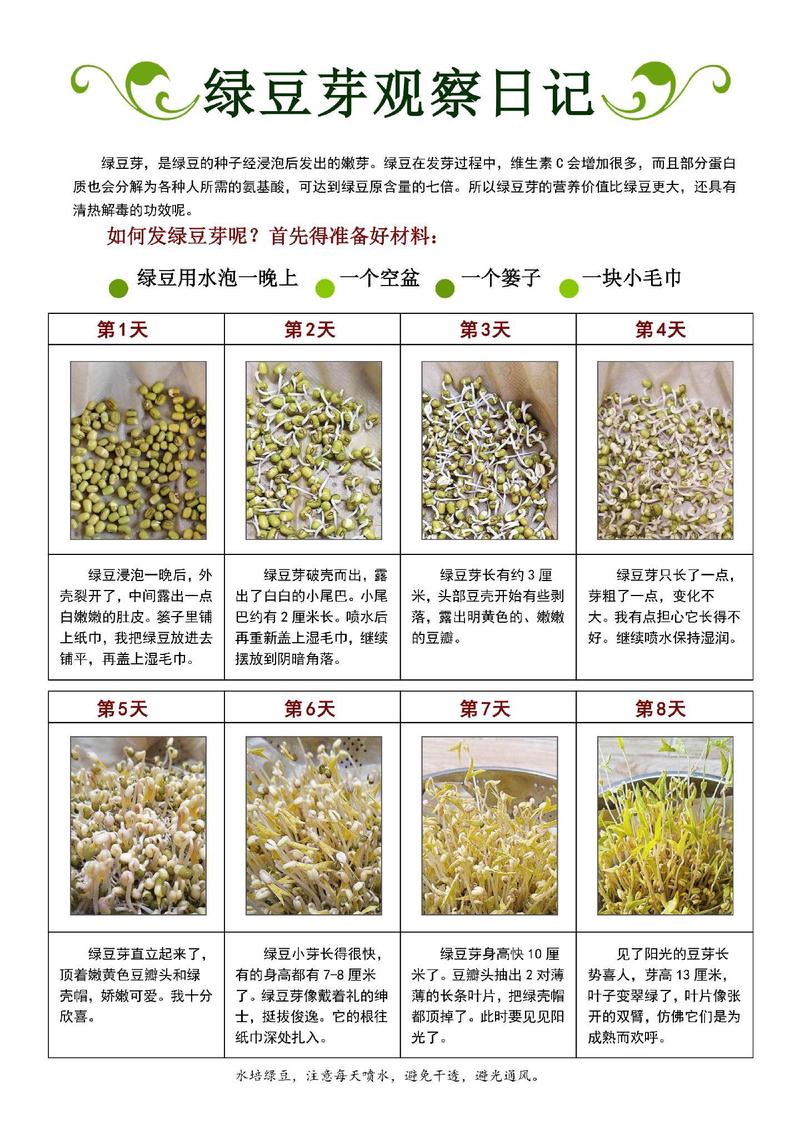 窗台上的那抹绿，等了整整一周？