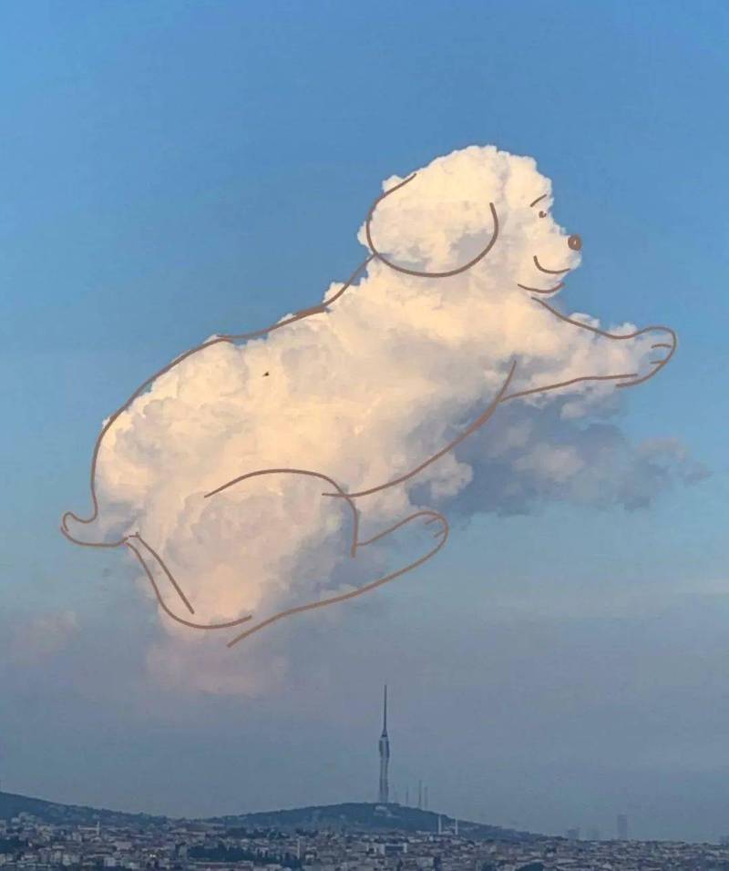 云游记｜天上的日与夜