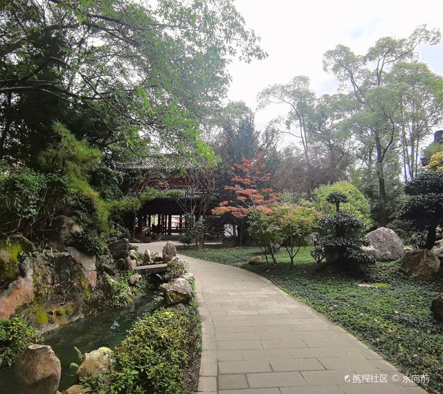 在李白的诗里，我走丢了自己…