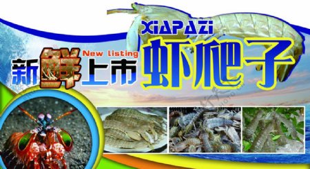 爱在心头,情话如虾爬子般细腻入心! 爱在心头,情话如虾爬子般细腻入心!