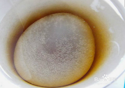 醋泡蛋的奇妙旅程？