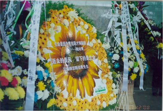 第七天·雨滴落下的时候 第七天·雨滴落下的时候