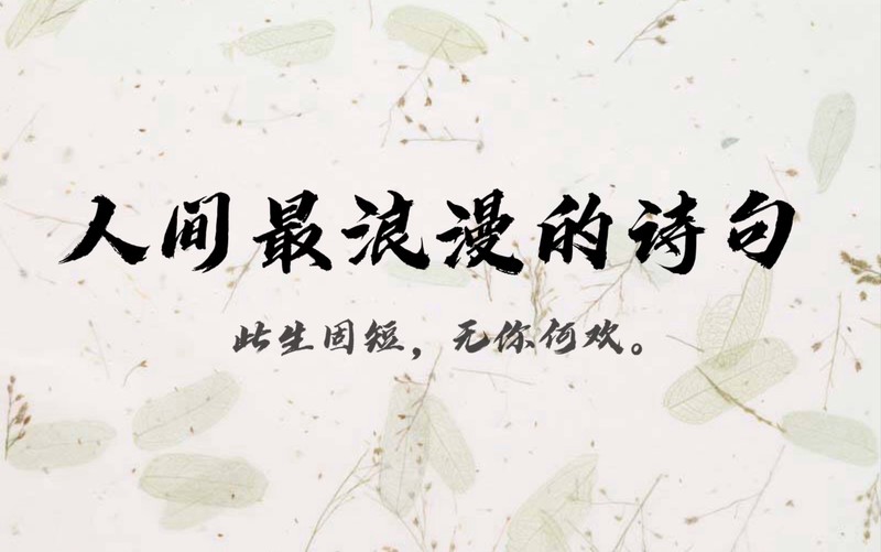 晨光里的低语丨那些只在清晨说出口的爱