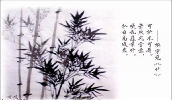 古韵情话丨用诗意表达爱意