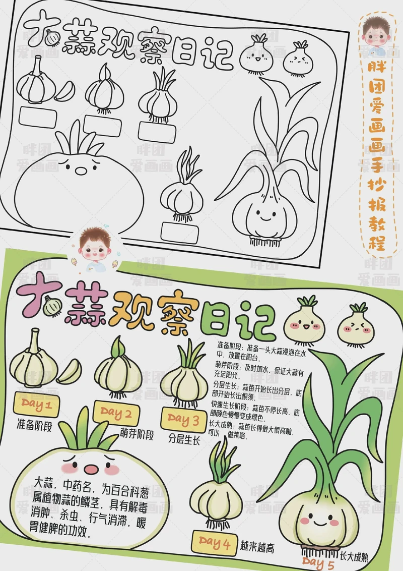 花生日记—观察与思考