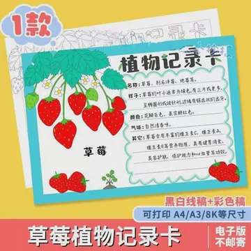 豆芽成长记丨第三天