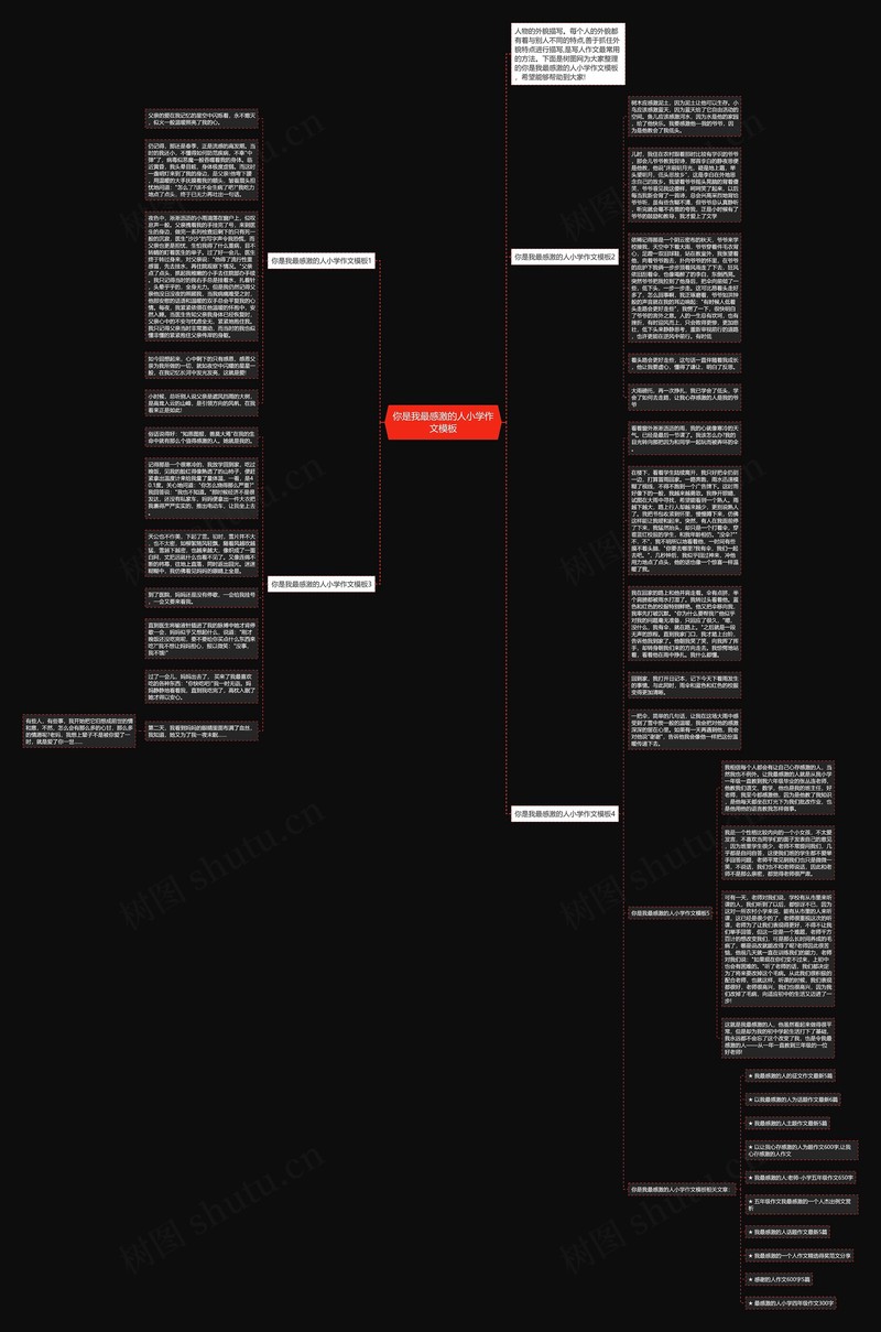 晨曦中的智慧之光！