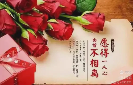 情话最撩人心丨那些让你心动的温柔话语 情话最撩人心丨那些让你心动的温柔话语