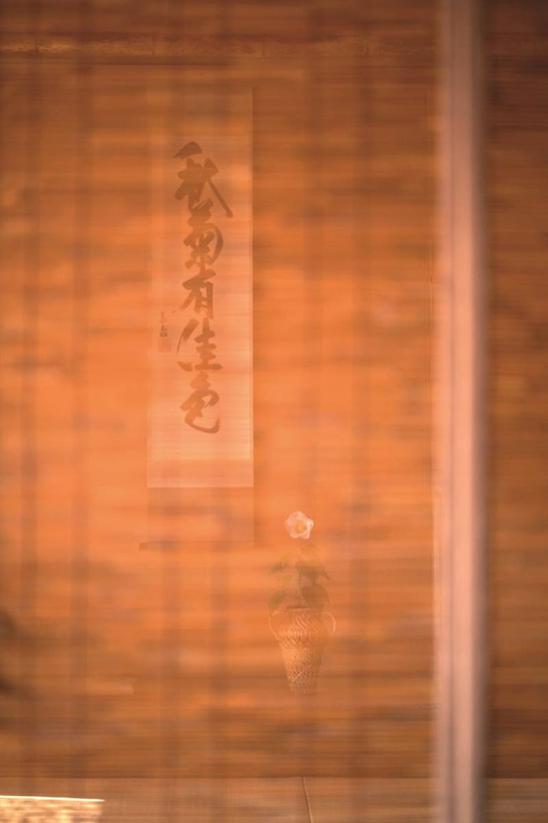 月圆人团圆，中秋的温馨与喜悦…