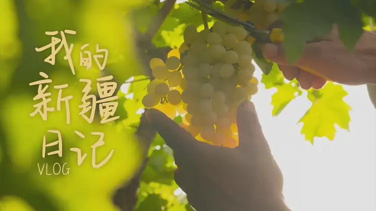 今天，我与葡萄有个约会？