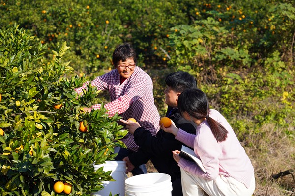 民情日记|践行三严三实,感受群众冷暖 民情日记|践行三严三实,感受群众冷暖