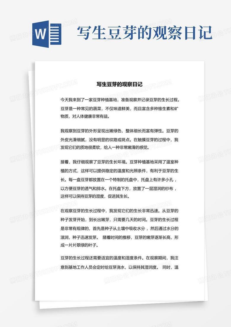 豆子的成长日记