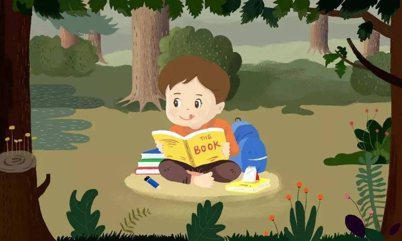 书页间的光影与心灵的对话！