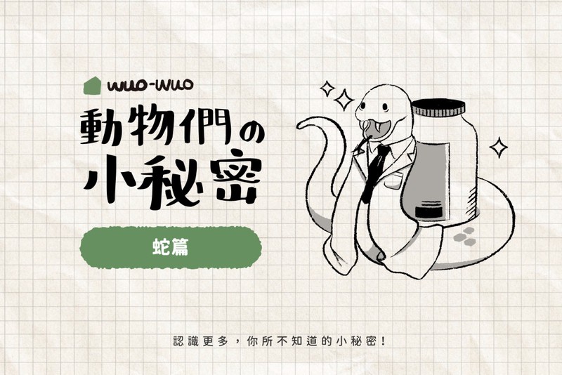 与蛇共处的奇妙一天！