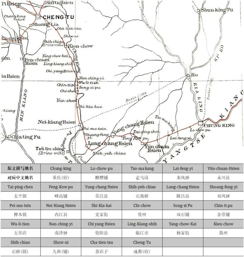 阳台上的小蒜苗丨种大蒜观察日记