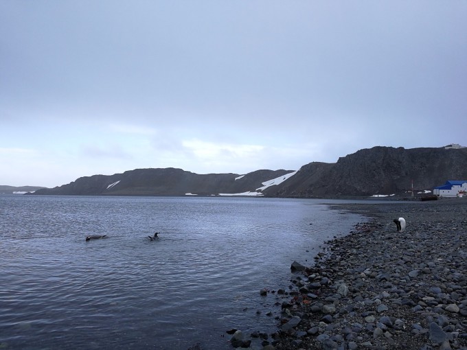海风把心吹碎了…