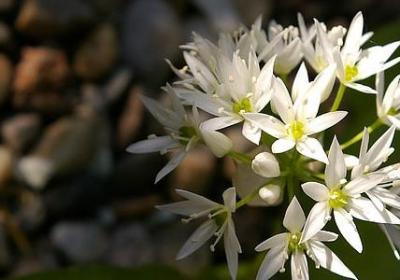 跨越千里的爱恋·异地情话诗句文案