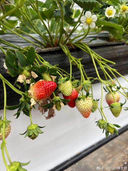 夏日午后，与自然的秘密会面…