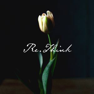 春天的使者，迎春花的微笑？