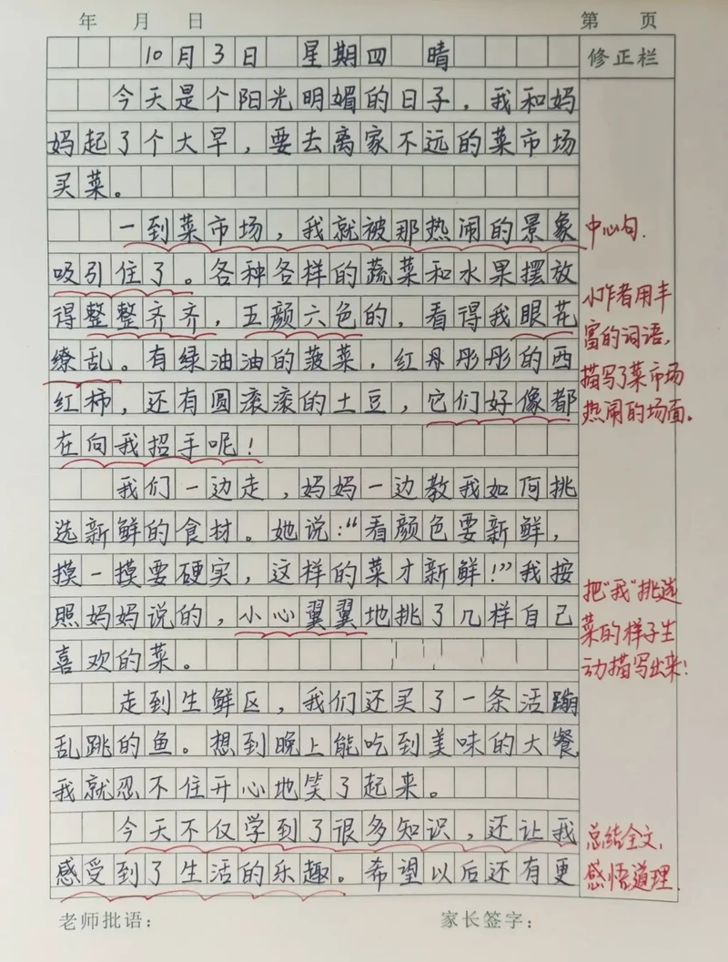 晨曦下的菜场·生活的烟火气