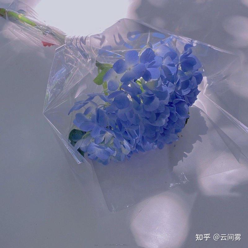 时光的甜，是与你共度的每一刻…