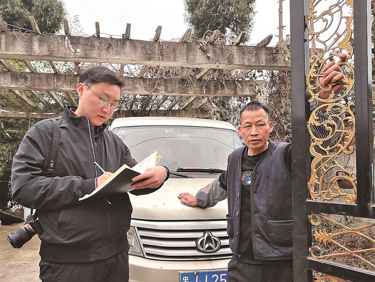 春风里的油菜花海？