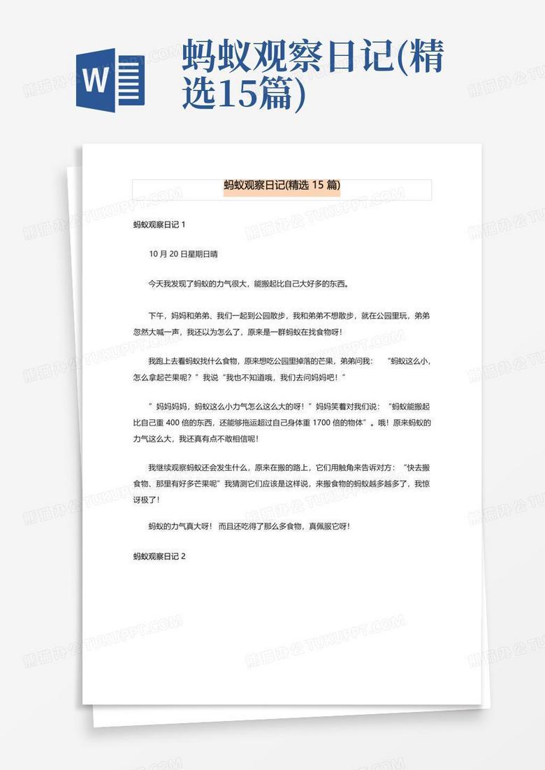 一只蚂蚁的日记丨忙碌的一天