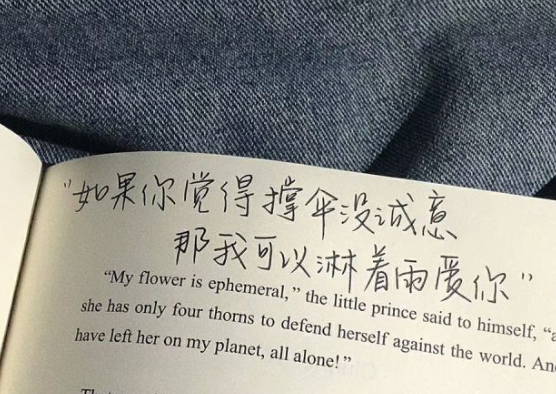 情话里的温柔与浪漫丨一份文艺情话大全