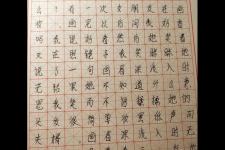 情话与旋律：用音乐诉说爱意