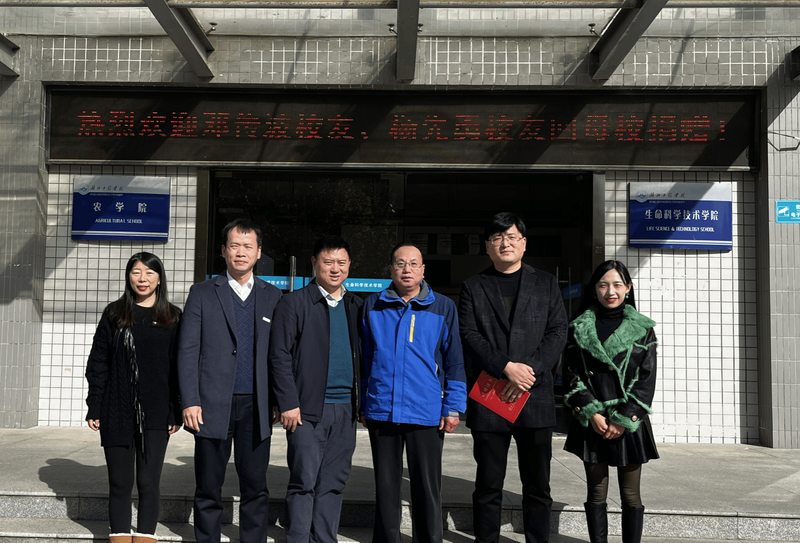 楚优的咖啡豆雕塑…