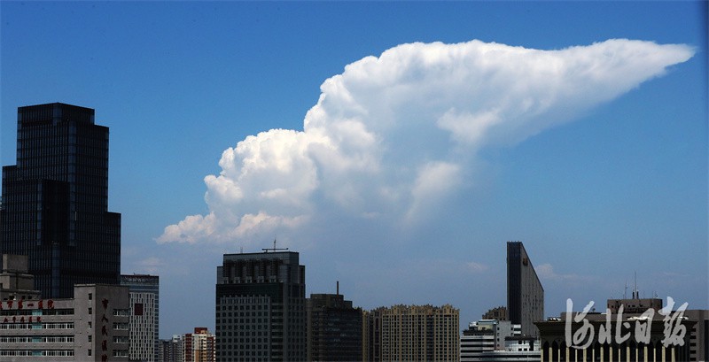 今天和天空的对话! 今天和天空的对话!