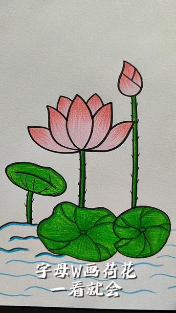 夏日荷花池：一场视觉与心灵的盛宴