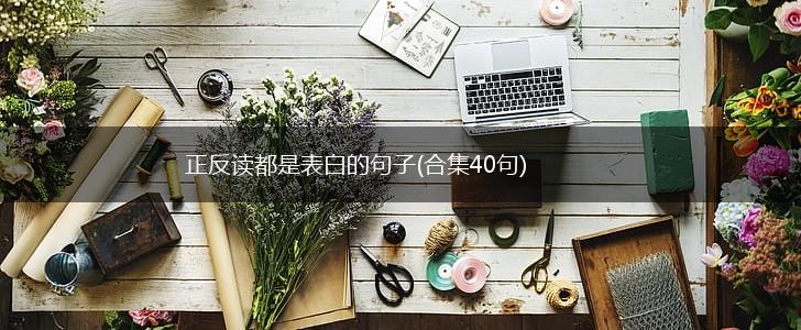 倒转的誓言·把句子倒过来读的情话