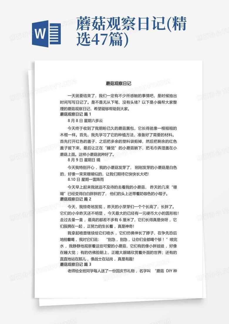 四则葱的观察日记·从种子到绿意