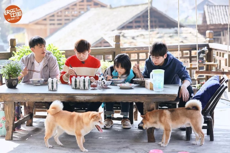 我家的毛球今天又偷吃我书包了！