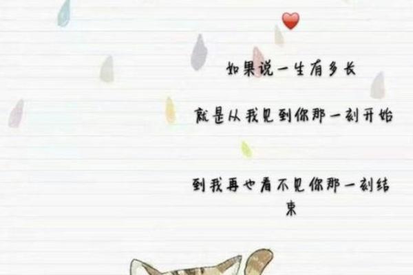 山巅上的告白，心跳与爱的共鸣…