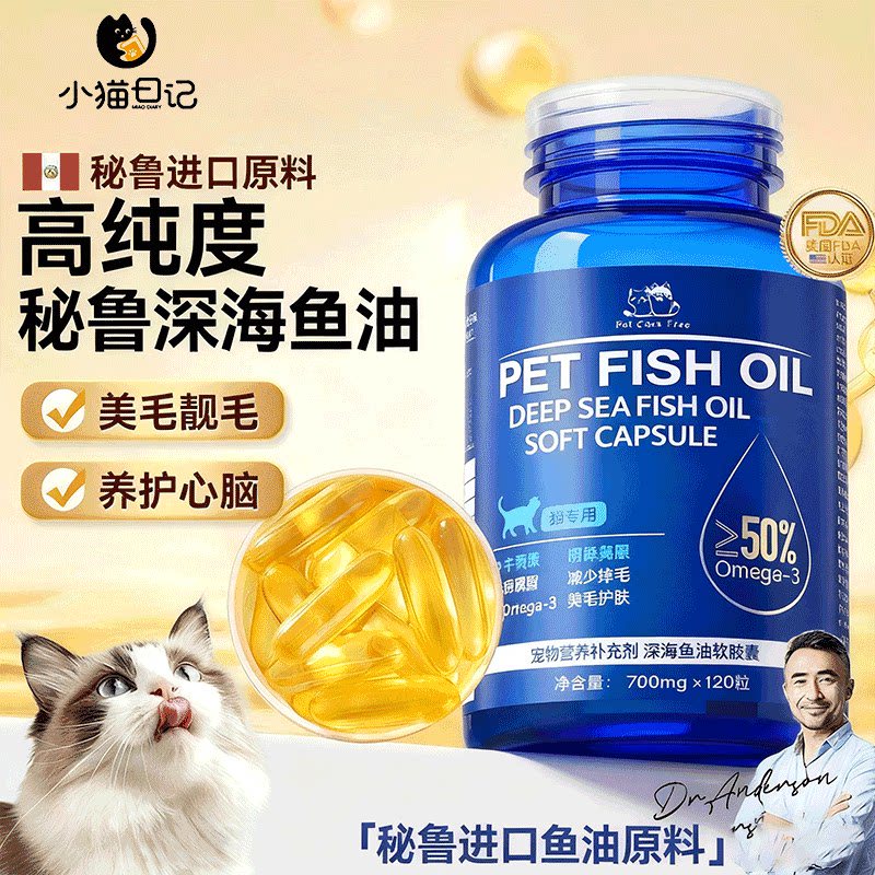 小猫咪的神秘日常？