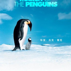 帝企鹅日记主题曲｜南极的旋律