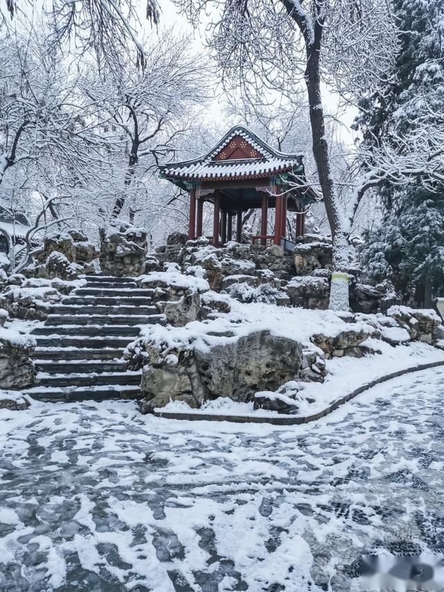 雪落无声，情意如诗！