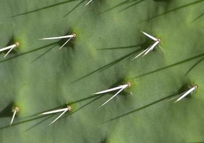 情话男朋友句子丨温柔、俏皮与深情的浪漫对话