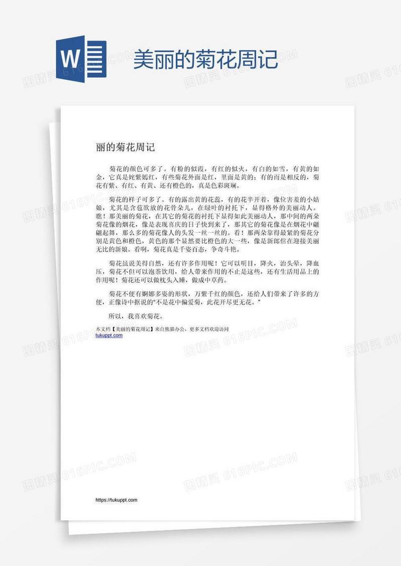 秋日的邂逅｜一盆菊花的温柔