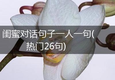 在时光的缝隙里，我们编织着爱的诗篇…