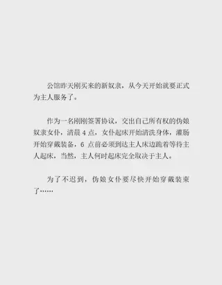 月下之影·伪娘的调教之旅